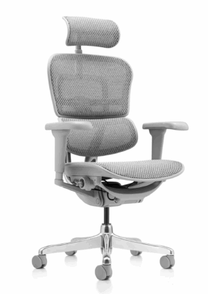 Siège ergonomique ERGOHUMAN CLASSIC