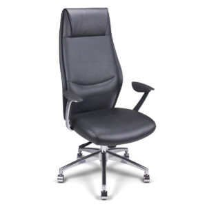 Fauteuil manager TERY
