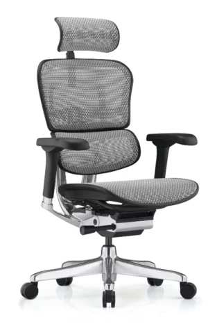 Siège ergonomique ERGOHUMAN ELITE
