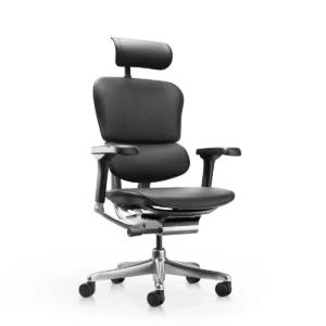 Siège ergonomique ERGOHUMAN LUXURY