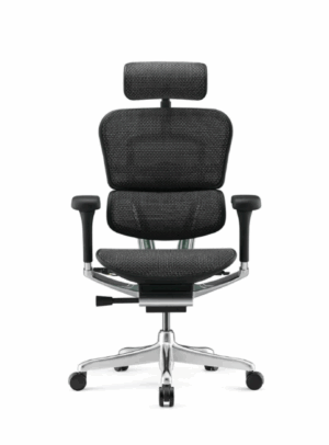 Siège ergonomique ERGOHUMAN ELITE