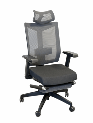 Siège ergonomique VEGA